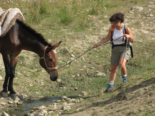 trekking con i muli-197.jpg